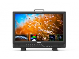 Swit BM-H215HDR 21.5-inch 1000nits 4K Input Ready Monitor 